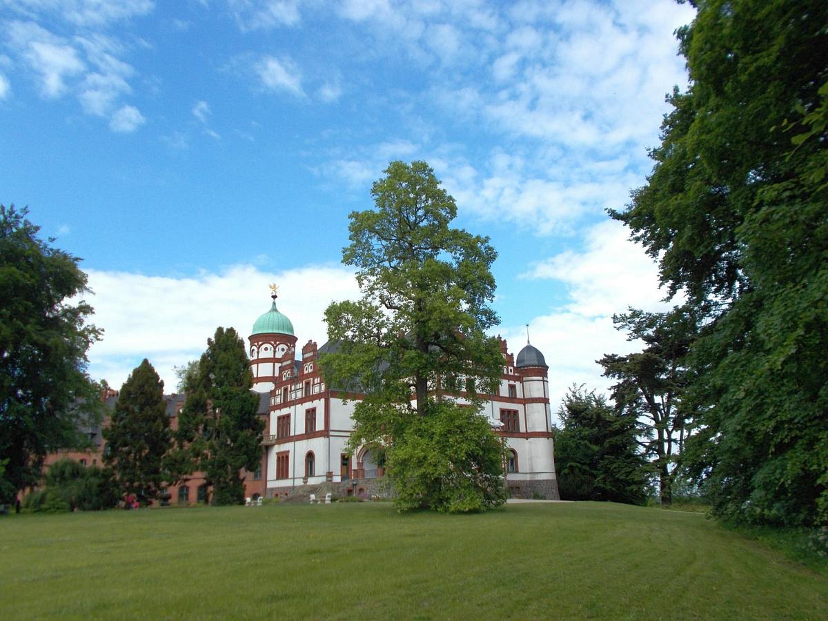 Schlossparkwiese Mit Blick Auf Schloss Und Tulpenbaum